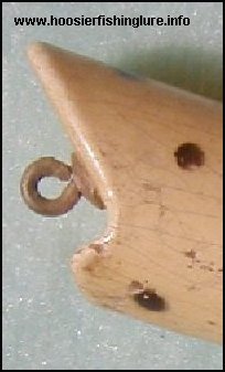 Head of a Night Hawk